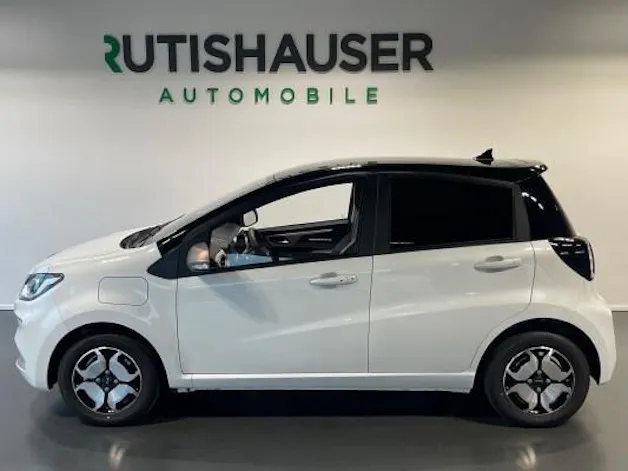 JAC e-JS1 31KwH