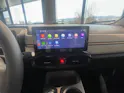 JAC e-JS1 31KwH