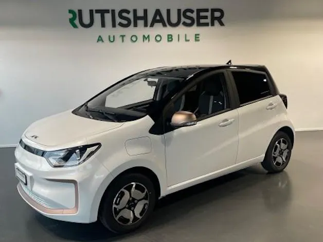 JAC e-JS1 31KwH