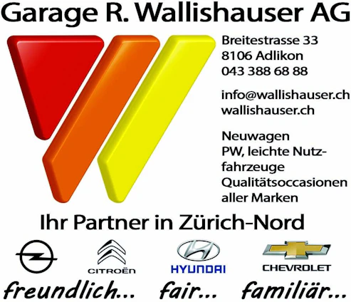 Fahrzeugbild 17