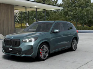 BMW X1 30e xDrive paddles