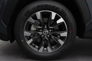 Toyota RAV4 2.5 Plug-In-Hybrid Trend