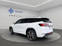 SKODA Kodiaq 2.0 TSI RS 4x4