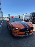 FORD Mustang Convertible 5.0 V8 GT