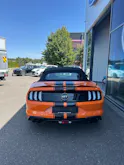 FORD Mustang Convertible 5.0 V8 GT