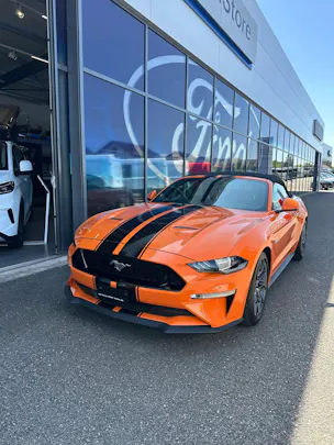 FORD Mustang Convertible 5.0 V8 GT