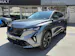 RENAULT Rafale 1.2 E-Tech Plug-in Hybrid 300 4x4 Atelier Alpine