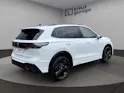 VW Tiguan 1.5 TSI evo2 eHybrid R-Line DSG