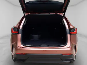 Lexus NX 450h+ Excellence