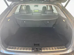Lexus RX 450h X