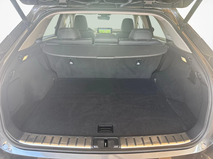 Fahrzeugbild LEXUS RX