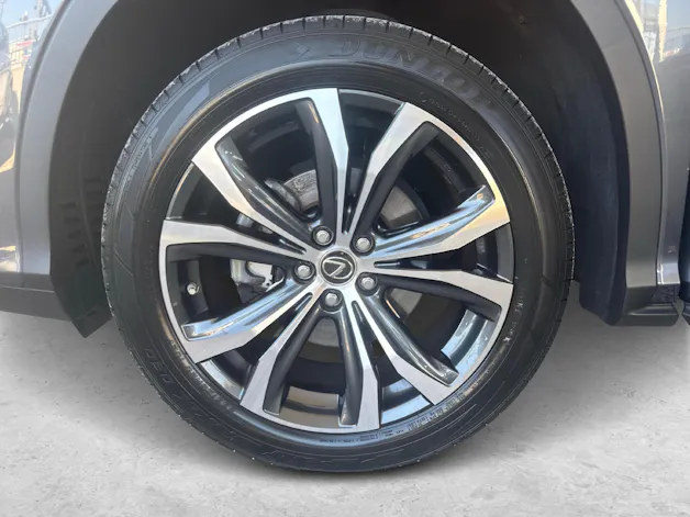 Lexus RX 450h X