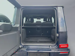 Mercedes-Benz G 450 d
