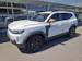 Dacia Duster 1.2 Hybrid Extreme 4WD