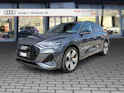 Audi audi e-tron 55 S Line Black Edition quattro Daytonagrau Perleffekt