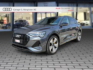 Audi audi e-tron 55 S Line Black Edition quattro Daytonagrau Perleffekt