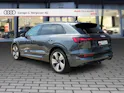 Audi audi e-tron 55 S Line Black Edition quattro Daytonagrau Perleffekt