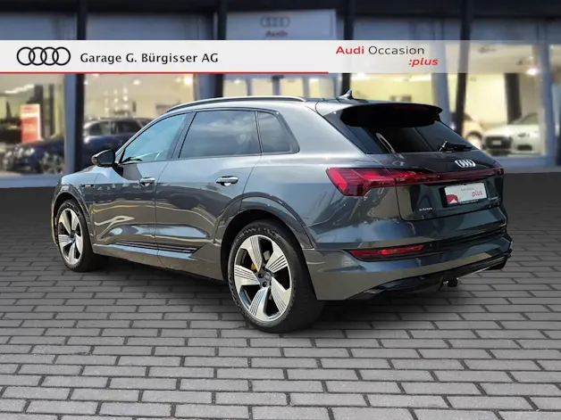 Audi audi e-tron 55 S Line Black Edition quattro Daytonagrau Perleffekt