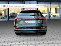 Audi audi e-tron 55 S Line Black Edition quattro Daytonagrau Perleffekt