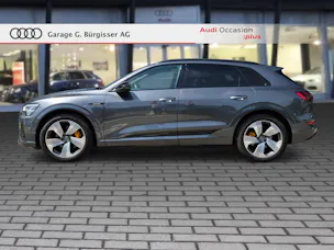 Audi audi e-tron 55 S Line Black Edition quattro Daytonagrau Perleffekt