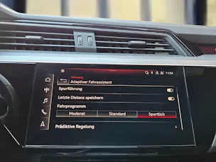 Audi audi e-tron 55 S Line Black Edition quattro Daytonagrau Perleffekt