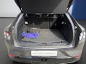 Ford Mustang Mach-E Premium AWD