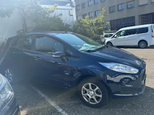 Ford Fiesta 1.0 Freetech
