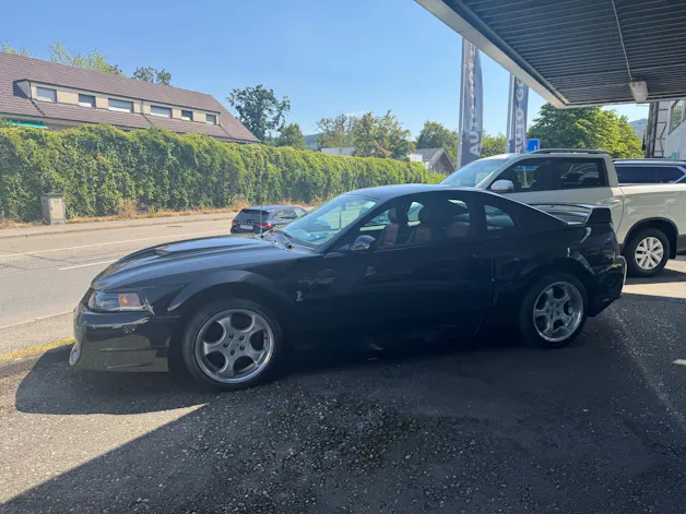 Ford Mustang Cobra SVT 10.Anniversary