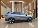 Mitsubishi Grandis 1.8 HEV Intense