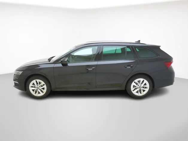 Škoda Octavia 2.0 TSI Selection-Loft 4x4 DSG
