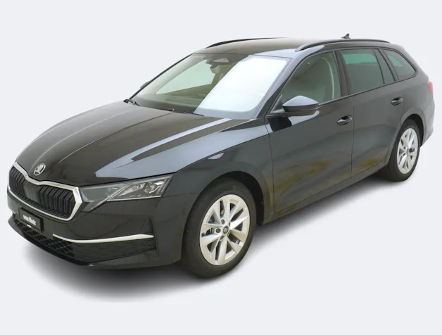 Škoda Octavia 2.0 TSI Selection-Loft 4x4 DSG