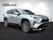 Toyota RAV4 2.5 Plug-In-Hybrid Trend