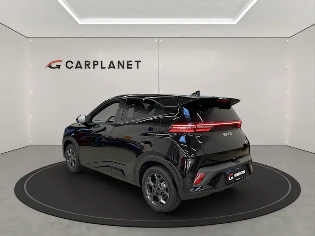 BYD Dolphin Surf Comfort