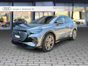 Audi Q4 e-tron 50 quattro Edition One Taifungrau Metallic