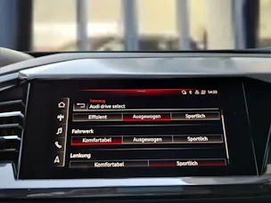 Audi Q4 e-tron 50 quattro Edition One Taifungrau Metallic