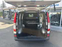 Mercedes-Benz Vito 113 CDI Blue Efficiency L