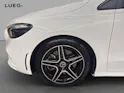 Mercedes-Benz B 250 4M - AMG / Rückfahrkamera / Multibeam LED / Panorama-Dach