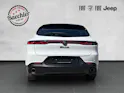 Alfa Romeo Tonale 1.3 Plug-in Hybrid Veloce Q4 Pack Premium Sky