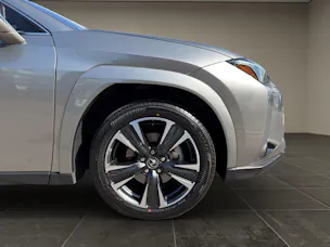 Lexus UX 300h Excellence