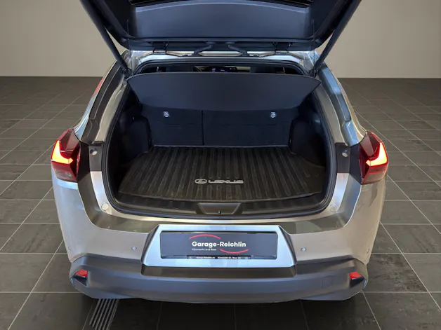 Lexus UX 300h Excellence