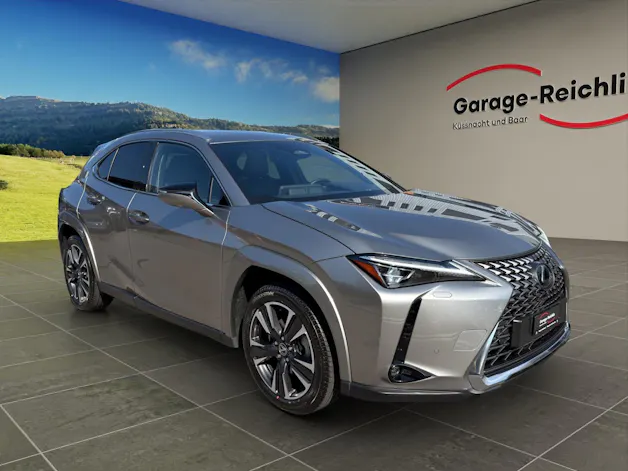 Lexus UX 300h Excellence