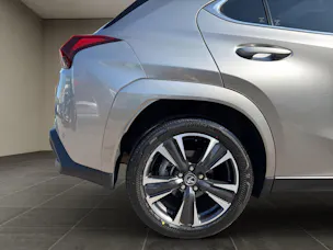 Lexus UX 300h Excellence
