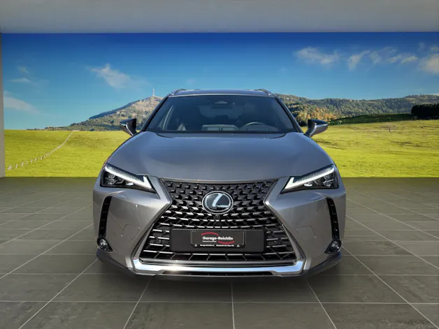 Lexus UX 300h Excellence