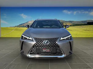 Lexus UX 300h Excellence