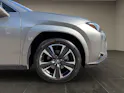 Lexus UX 300h Excellence