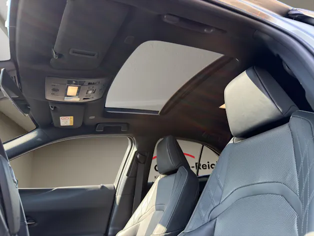 Lexus UX 300h Excellence