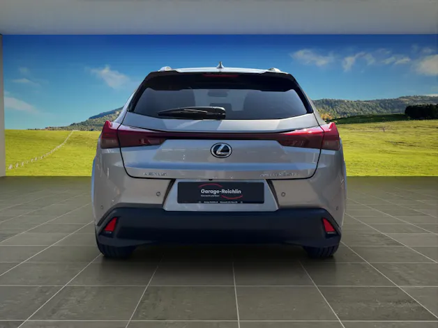 Lexus UX 300h Excellence