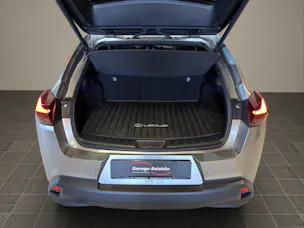 Lexus UX 300h Excellence