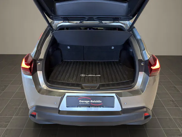 Lexus UX 300h Excellence