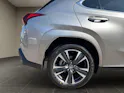 Lexus UX 300h Excellence